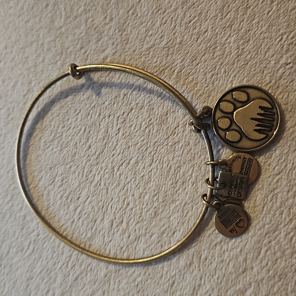 Alex & Ani gold paw/skyline bracelet